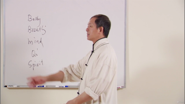 Understanding Qigong 2: Qigong Breathing Keypoints w Dr Yang – Screenshot 4