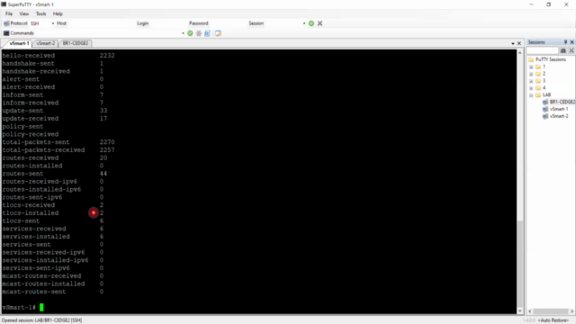 Cisco SD-WAN Operation and Deployment (ENSDW)-LAB – Screenshot 1