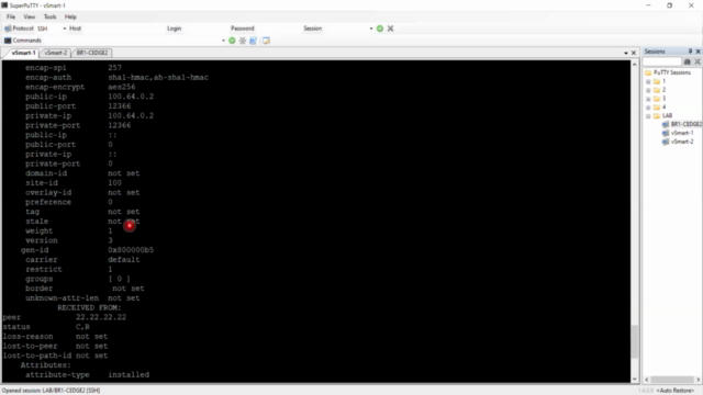 Cisco SD-WAN Operation and Deployment (ENSDW)-LAB – Screenshot 3