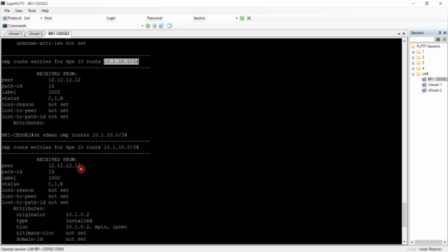 Cisco SD-WAN Operation and Deployment (ENSDW)-LAB – Screenshot 4
