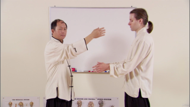 Understanding Qigong 1: What is Qi Energy & Qigong? Dr Yang – Screenshot 4
