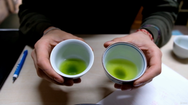 Beginner's Guide to Japanese Green Tea – Screenshot 2