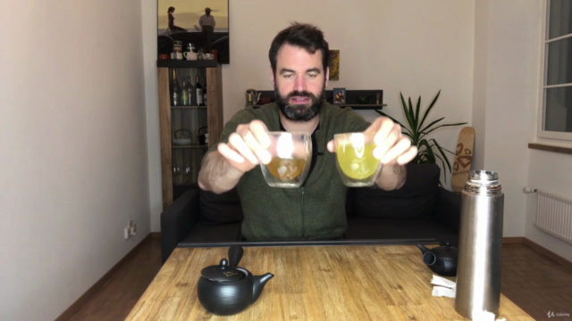 Beginner's Guide to Japanese Green Tea – Screenshot 4