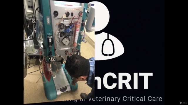 Approach to hemorrhagic shock in small animals (veterinary) – Screenshot 2