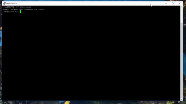Sybase ASE Installation on Linux - Screenshot_01