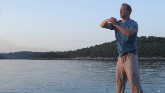 Qi Gong for Longevity w Lee Holden (Health & Graceful Aging) – Screenshot 4