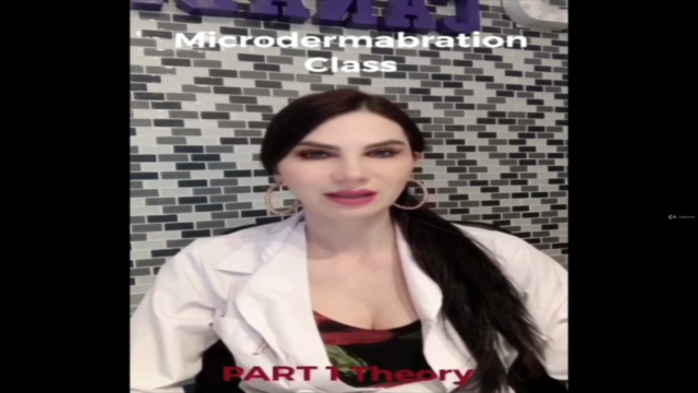 Microdermabrasion course – Screenshot 2