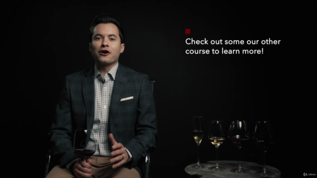 Fundamentals of Wine Tasting - Taste Wine like a Sommelier – Screenshot 1