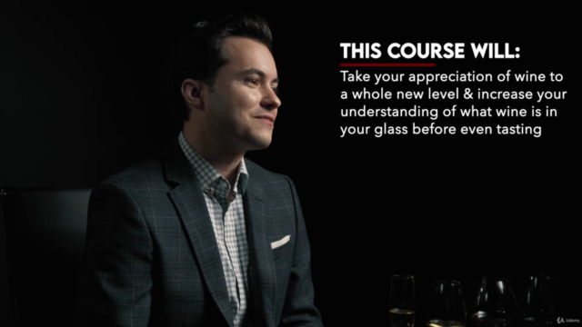 Fundamentals of Wine Tasting - Taste Wine like a Sommelier – Screenshot 4
