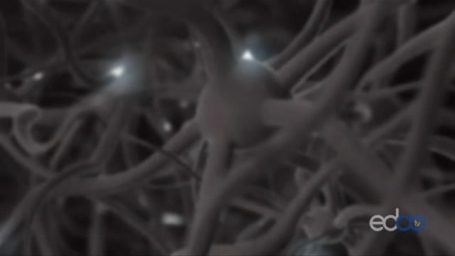 Maxwell: Electricity, magnetism and light - S. L. Glashow – Screenshot 1