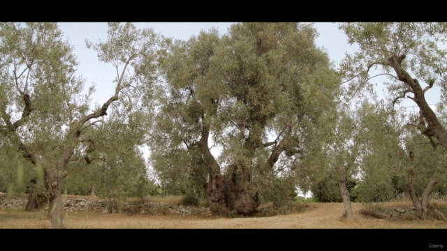 Impara i Fiori di Bach da zero – Screenshot 2
