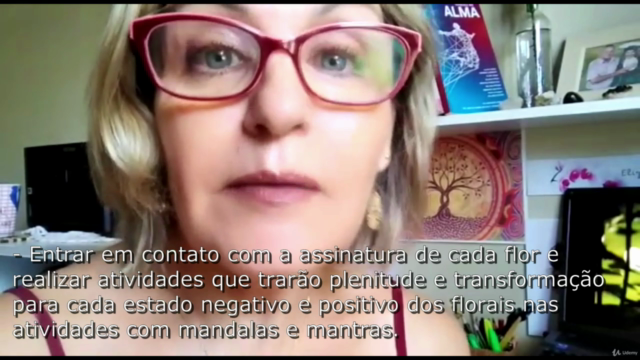Terapia com Florais de Bach – Screenshot 3