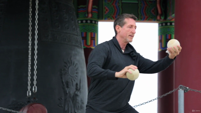 Tai Chi Ball Workout for Beginners w David-Dorian #1 Tai Chi – Screenshot 2
