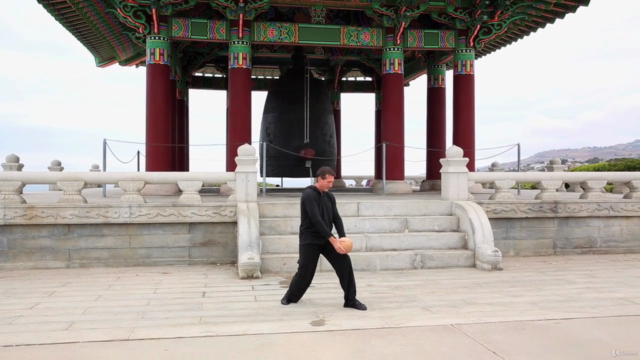 Tai Chi Ball Workout for Beginners w David-Dorian #1 Tai Chi – Screenshot 3