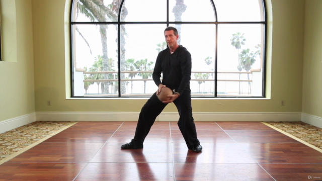 Tai Chi Ball Workout for Beginners w David-Dorian #1 Tai Chi – Screenshot 4