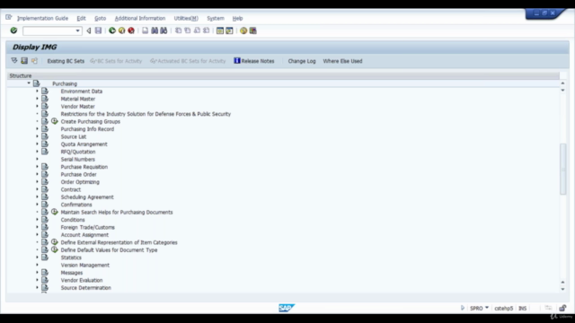SAP ECC & S/4 HANA MM Organization Structure & Master Data – Screenshot 2