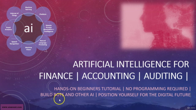 Artificial Intelligence for Finance, Accounting & Auditing – Screenshot 3