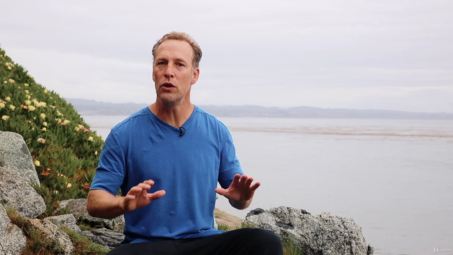 Qi Gong Seated Workout w Lee Holden (Chair Exercise) 2024 – Screenshot 2