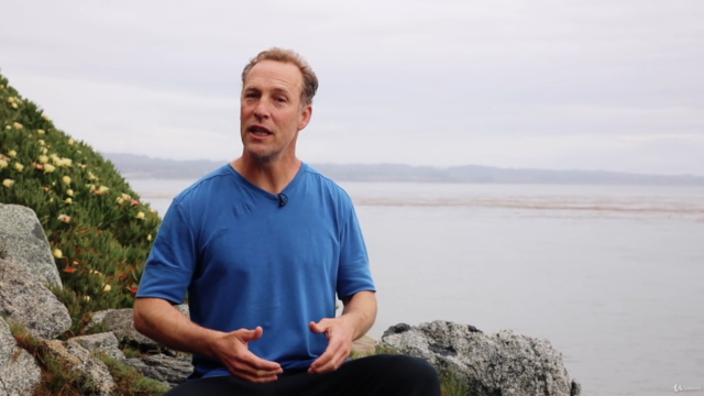 Qi Gong Seated Workout w Lee Holden (Chair Exercise) 2024 – Screenshot 3
