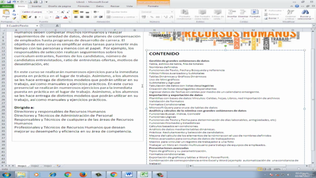 Excel para Gestión de Información de Recursos Humanos – Screenshot 2