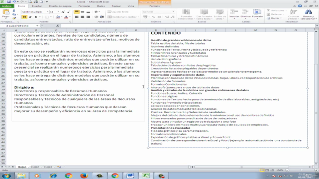 Excel para Gestión de Información de Recursos Humanos – Screenshot 3