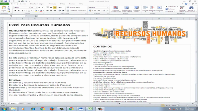 Excel para Gestión de Información de Recursos Humanos – Screenshot 4