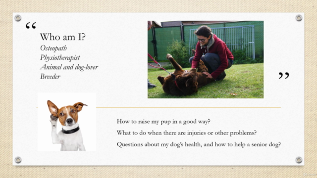 Raising your dog from pup to adult (sport) dog – Screenshot 1