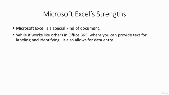 MS Excel (Beginners & Advanced): Fast Track Training – Screenshot 2