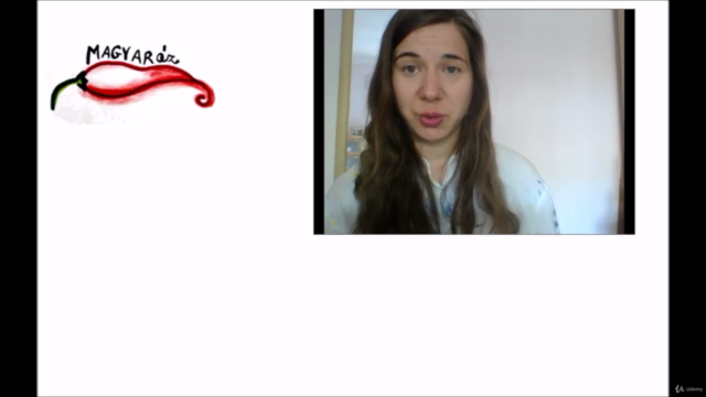 Learn Hungarian with MAGYARáz – Screenshot 3