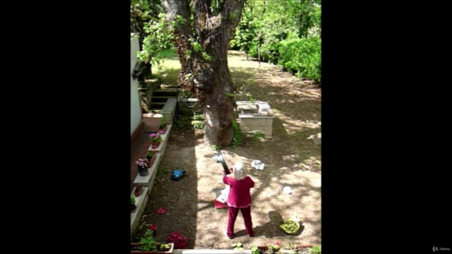 Bioenergetica del Sacro Cerchio – Screenshot 3