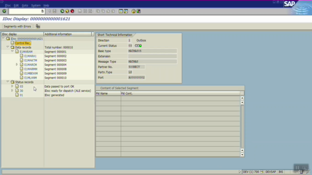 sap ale idoc for abap and functional consultant – Screenshot 4