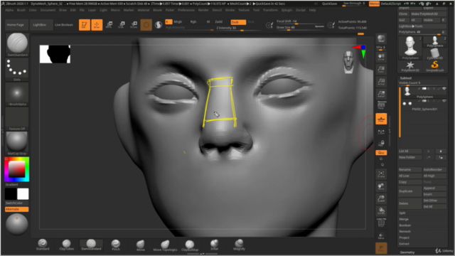 Female Character Head Sculpting in Zbrush 2020 - Screenshot_02