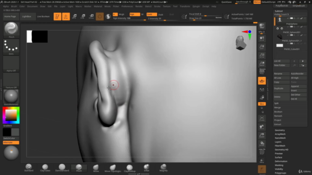 Female Character Head Sculpting in Zbrush 2020 - Screenshot_03