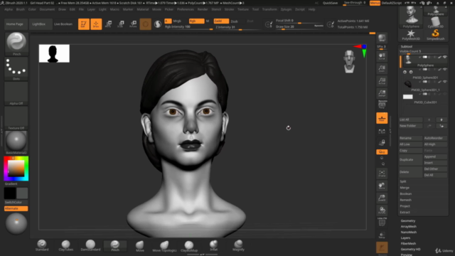 Female Character Head Sculpting in Zbrush 2020 - Screenshot_04