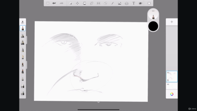 Drawing on IPAD PRO: The ultimate course - Screenshot_03