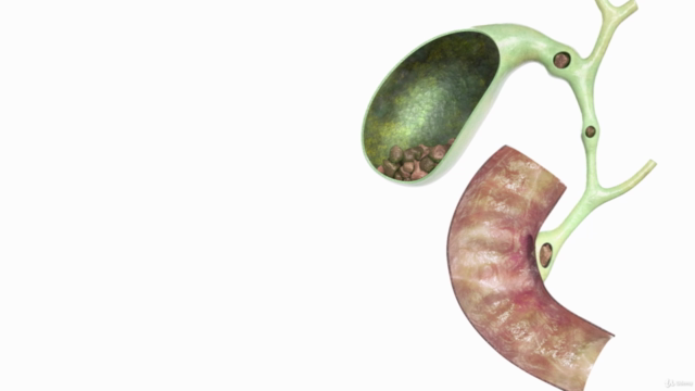 Medical Illustration mit C4D und Redshift 3.x – Screenshot 1