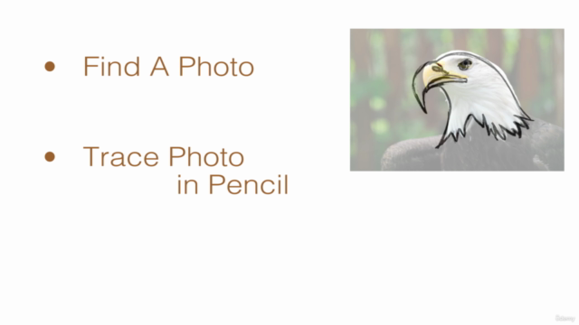 Illustrator on iPad - Create 10 Amazing Vector Illustrations – Screenshot 4