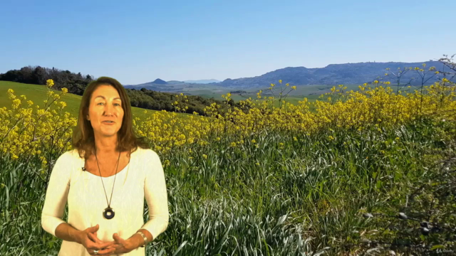 Accredited Holistic Herbalism Diploma Course Herbal Medicine – Screenshot 1