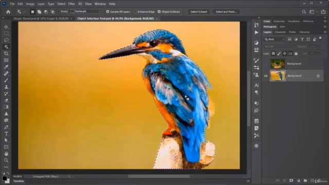 Basics of Photoshop in 35 mins (for Absolute Beginners) – Screenshot 3