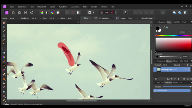 Affinity Photo - Komplettkurs für Einsteiger – Screenshot 2
