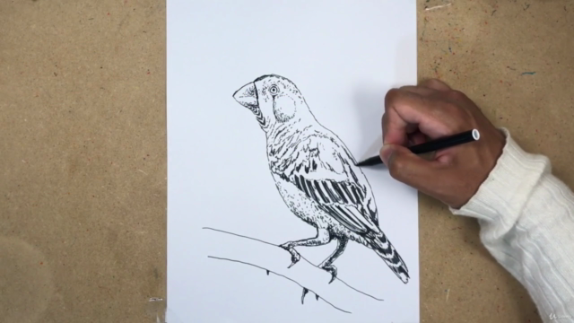 Art & Drawing Bootcamp Challenge: Developing Daily Habits – Screenshot 2