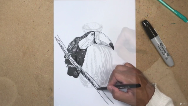 Art & Drawing Bootcamp Challenge: Developing Daily Habits – Screenshot 4