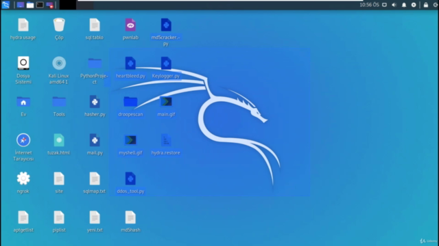 Programlama Dilleriyle Orta, İleri Seviye Etik Hacker Kursu – Screenshot 1