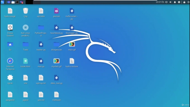Programlama Dilleriyle Orta, İleri Seviye Etik Hacker Kursu – Screenshot 3