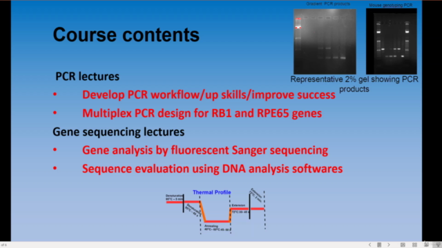 Build Strong Foundations- PCR, Multiplex PCR, DNA Sequencing – Screenshot 3