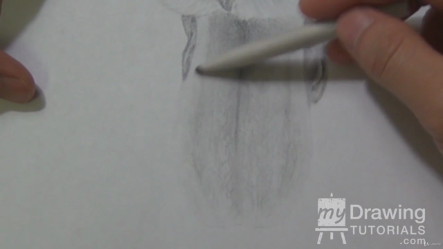 How to Draw Animal Portraits for Beginners – Screenshot 2