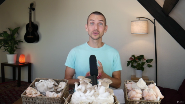 Growing Mushrooms Indoors for Business and Pleasure – Screenshot 2