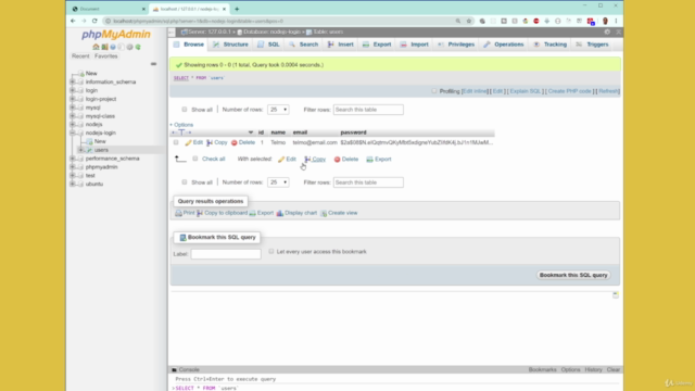 The Complete Nodejs MySQL Login System – Screenshot 2