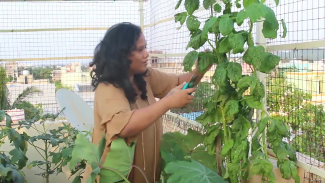 Organic Container Gardening, The Indian Way – Screenshot 4