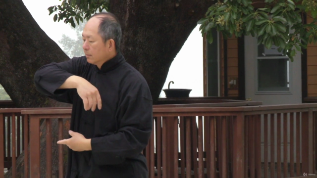 Yang Tai Chi for Beginners Part 1 with Dr. Yang, Jwing-Ming – Screenshot 2